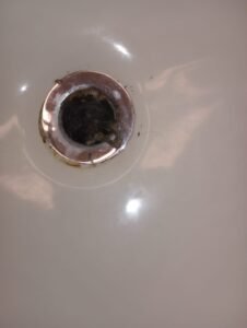 How to Deal with Nasty Sewer and Drain Issues?