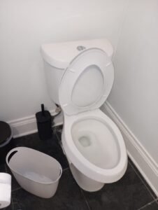 7 Top Toilet Fixes Every Homeowner Should Know