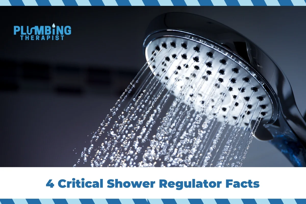 4 Critical Shower Regulator Facts