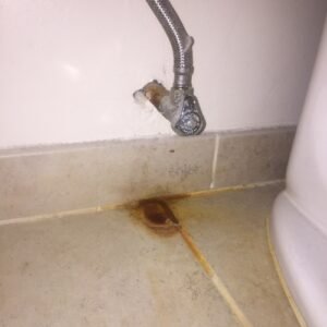 Eliminate 3 Pesky Toilet Rust Stains