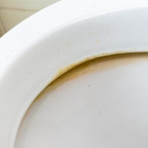 Eliminate 3 Pesky Toilet Rust Stains