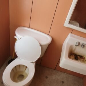 Eliminate 3 Pesky Toilet Rust Stains
